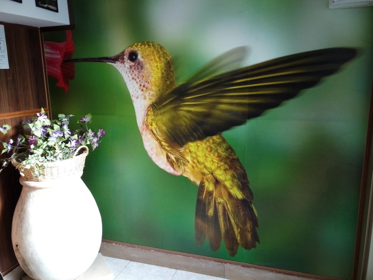 Residence Colibri Family & Bike Лоано Екстер'єр фото